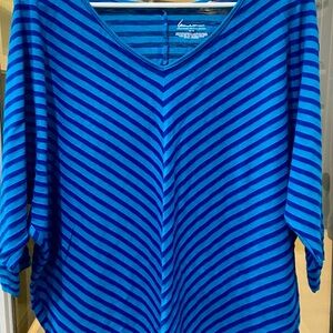 Lane Bryant V-Neck Blue Striped Long Sleeve Top